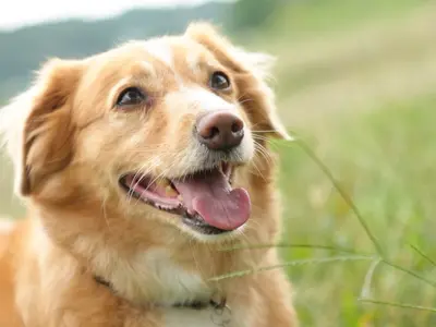 大切な家族との大切な時間を思い出に