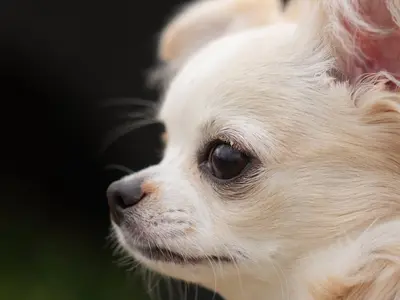 大切な家族との大切な時間を思い出に