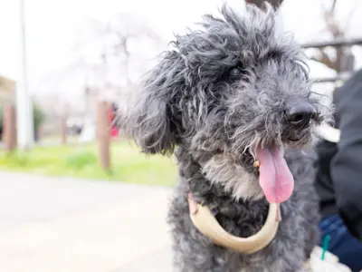 ◆フォロワー21万人超◆話題のSNSプロが撮影◆動画説明あり◆翌日納品◉