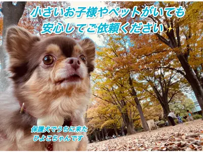 11月23.25.26日空きあり◆駐車場代なし◆前日・当日予約お問い合わせ下さい