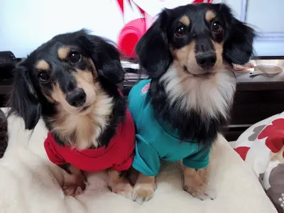 プロの技術でご満足いただけるように心を込めて撮影いたします