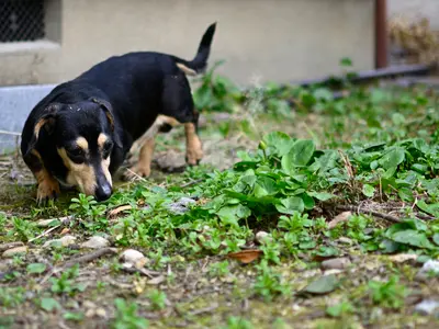素敵な一枚に仕上げます！七五三撮影