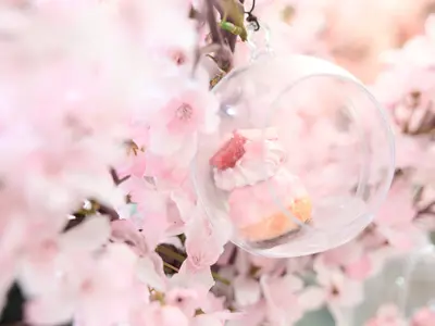 プロの技術でご満足いただけるように心を込めて撮影いたします