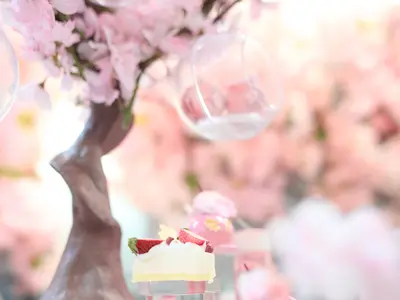 プロの技術でご満足いただけるように心を込めて撮影いたします