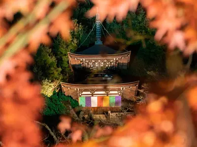 今だけ特価！プロフィール写真