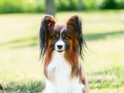 自然体でおしゃれに、一瞬を一生の宝物に