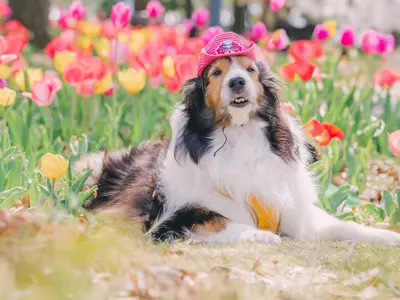 自然体でおしゃれに、一瞬を一生の宝物に