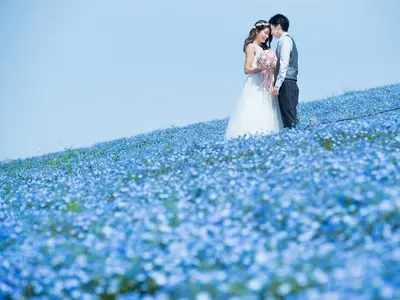 【キャリア12年以上の実績】茨城県内密着！◆ひたちなか市在住