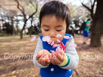 ◎本当のプロカメラマンが撮る！あなたのお子様