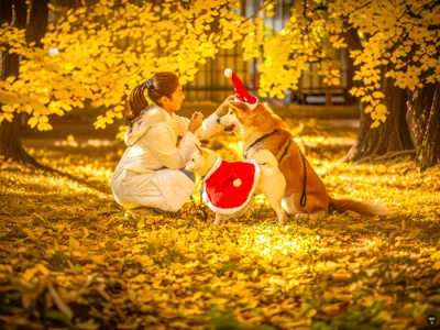 ★800件の撮影実績★現役ペットカメラマン