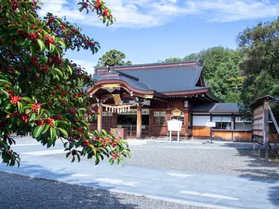 ☆撮影用小物無料貸し出しあります。人見知りなお子さんもお任せ下さいませ。