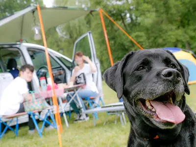 【業歴35年】自然な笑顔を撮影します。お客様のご要望お聞かせください！