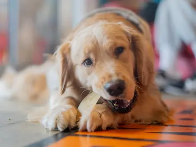 プロの技術でご満足いただけるように心を込めて撮影いたします