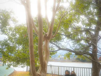 【年中無休！土日祝OK】安心のクオリティ！◎実績多数！◎動画◎1.5時間撮影OK