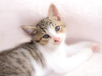 プロフィール写真はおまかせを☆自然な笑顔を