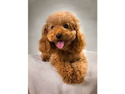 【30年以上の実績がある店長が伺います】ご相談などお気軽にお問い合わせください！