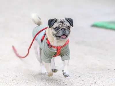 ＜店長の私が必ず伺います！＞女性のお客様も安心してお任せください！