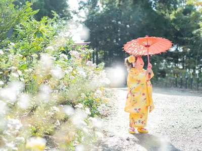 【11月は平日のみ空きあり】七五三出張撮影