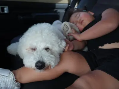 【全データ200枚以上お渡し★】家族もペットも安心撮影♪QR決済対応◎