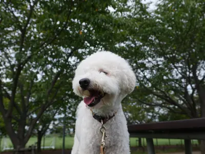 【全データ200枚以上お渡し★】家族もペットも安心撮影♪QR決済対応◎