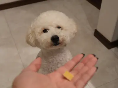 【全データ200枚以上お渡し★】家族もペットも安心撮影♪QR決済対応◎