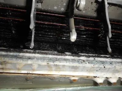 物価高でもお値打ち価格で協力、さらに防カビコート塗布(1700円)を無料に！