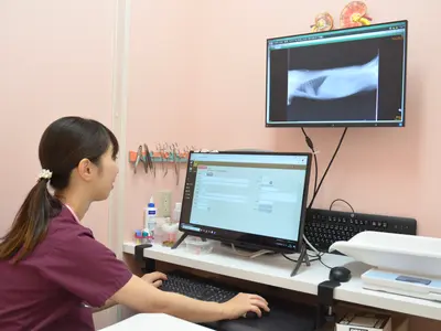 ビジネス紹介、店舗紹介の販促写真お任せ下さい。