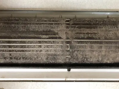 【★安心・安全・丁寧★】健康被害無い洗剤使用！品質満足度重視！