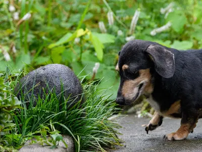 竣工・オフィス・店舗撮影ならお任せください!プロが撮影に伺います。