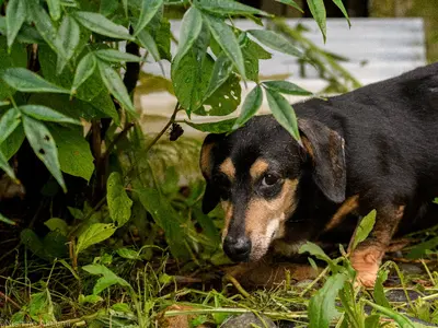 竣工・オフィス・店舗撮影ならお任せください!プロが撮影に伺います。