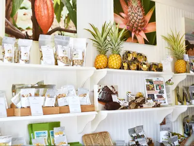 ◆大切な瞬間を逃さず記録！◆空撮OK