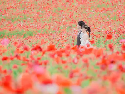 【相模原発】お2人の自然な姿を残します。撮影の時間もよい思い出になりますよう