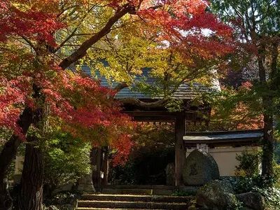 【キャリア12年以上の実績】茨城県内密着！◆ひたちなか市在住