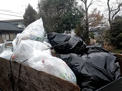 軽トラパック(詰め放題）