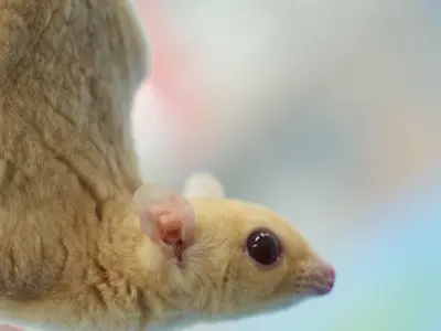 店長の私が必ず伺います！◎予約対応〜撮影・納品まで、当社スタッフがすべてご対応！