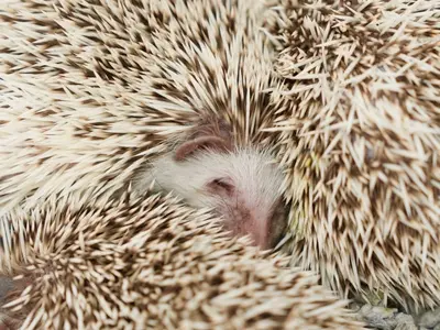 店長の私が必ず伺います！◎予約対応〜撮影・納品まで、当社スタッフがすべてご対応！