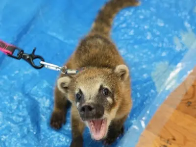 店長の私が必ず伺います！◎予約対応〜撮影・納品まで、当社スタッフがすべてご対応！