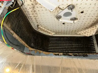 すべて自社対応◎安心の保険加入済み！徹底的に汚れを落とします！