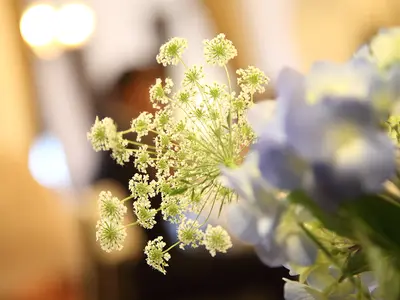 《女性カメラマンです！》◎TPOに合わせた服装でお伺い★前打ち合わせ無料！