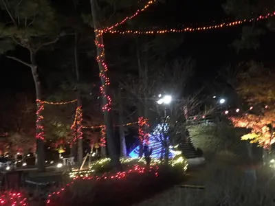 出張フォトサービス　( 各種イベント・パーティー・披露宴・七五三・・・記念撮影)