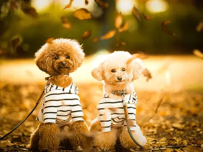 【★ご好評感謝割★22,000円→15,000円】◎先着50組まで◎交通費込