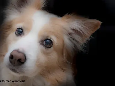 《年中無休◎》ひとあじ違う写真を残したいと思いの方へ。