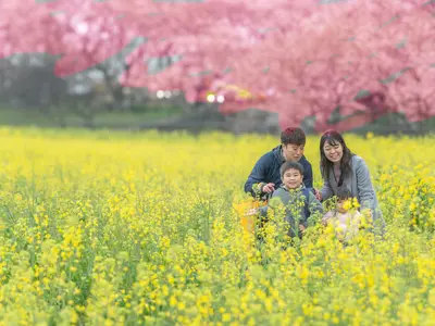 【口コミで決めてください！】家族写真、記念日、卒業、入学式！笑顔引き出します