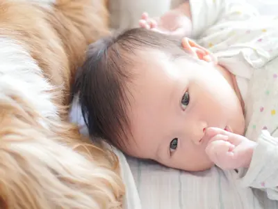 七五三、成人式、ブライダル、家族写真の出張撮影　ロケーションフォト