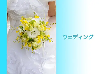 【業界歴33年】質と内容を重視した撮影は、2時間のご予約でフォトブックが無料！