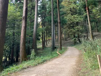 1点のみでもOK☆夫婦で訪問◎写真見積り◎先ずはお問い合わせからご質問下さい！