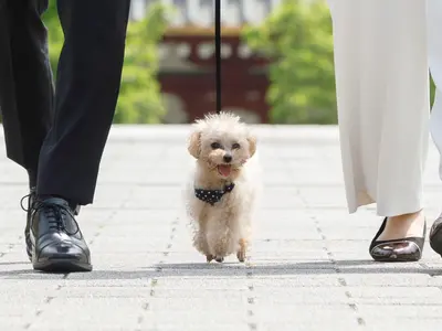 ◇お着物フォトグラファー エポフォト◇広告撮影歴20年◎笑顔を引き出すプロが撮影