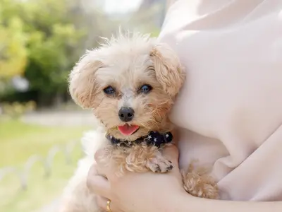 ◇お着物フォトグラファー エポフォト◇広告撮影歴20年◎笑顔を引き出すプロが撮影