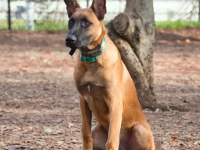 プロの技術でご満足いただけるように心を込めて撮影いたします