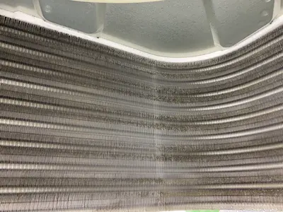 【女性スタッフ同行可能】大手での業務経験あり◉損害保険加入済みです！